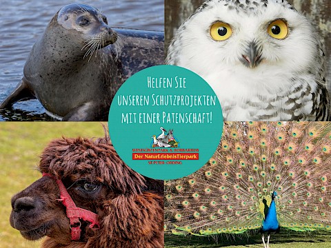 Tierpark Westküstenpark am 30.11.2021: Verschenken Sie eine Tier-Patenschaft zu Weihnachten!